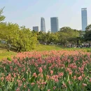 深圳中心公园 - 深圳市旅游 缩略图 5
