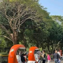 深圳中心公园 - 深圳市旅游 缩略图 8