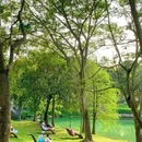深圳中心公园 - 深圳市旅游 缩略图 9
