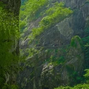富阳区常绿镇黄弹村石梯山庄 - 杭州市旅游 缩略图 9