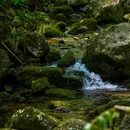 富阳区常绿镇黄弹村石梯山庄 - 杭州市旅游 缩略图 6