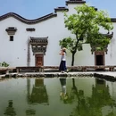 上海辰山植物园 - 上海市旅游 缩略图 3