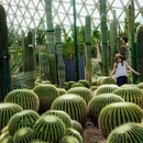 上海辰山植物园 - 上海市旅游 缩略图 1
