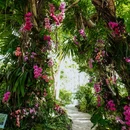 上海辰山植物园 - 上海市旅游 缩略图 6