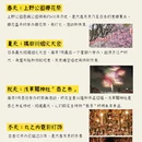 东京 - 日本旅游 缩略图 6