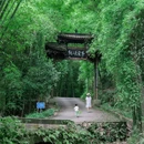 花楸村 - 成都市旅游 缩略图 1
