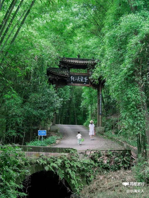 花楸村 - 成都市旅游