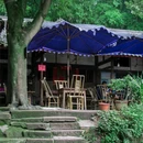花楸村 - 成都市旅游 缩略图 8