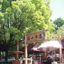 镇山村 - 贵阳市旅游 缩略图 6