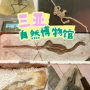 三亚自然博物馆 - 三亚市旅游 缩略图 1