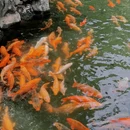 衢州天王塔 - 衢州市旅游 缩略图 7