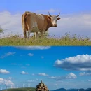 云中草原 - 承德市旅游 缩略图 5