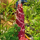 柳竹家·齐齐哈尔烤肉·朝鲜料理(宝安华强广场店) - 深圳市旅游 缩略图 2