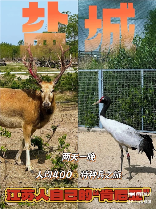 中华麋鹿园 - 盐城市旅游