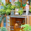 芳华街 - 成都市旅游 缩略图 6
