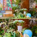 镋钯街 - 成都市旅游 缩略图 7