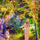 雨花胜境-牌楼 - 苏州市旅游 缩略图 1