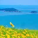 浙江玉环漩门湾国家湿地公园 - 台州市旅游 缩略图 1