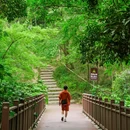 紫金山 - 南京市旅游 缩略图 5
