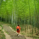 紫金山 - 南京市旅游 缩略图 4