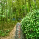 紫金山 - 南京市旅游 缩略图 6