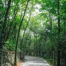 宝坤工业园宿舍楼1号 - 深圳市旅游 缩略图 4