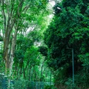 宝坤工业园宿舍楼1号 - 深圳市旅游 缩略图 7