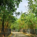 宝坤工业园宿舍楼1号 - 深圳市旅游 缩略图 8