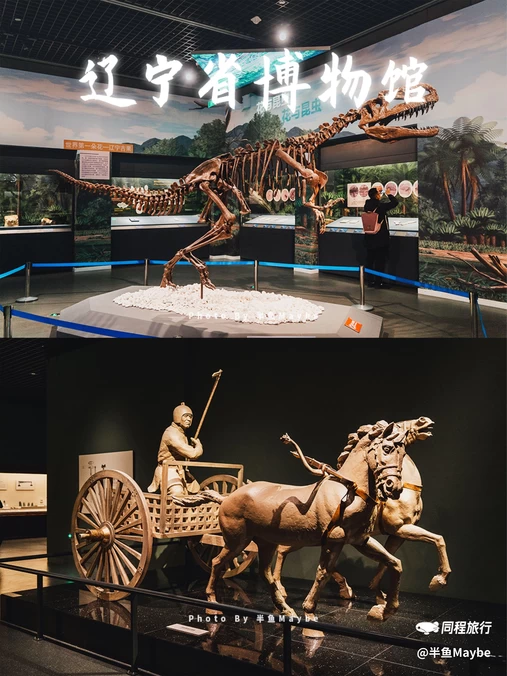 辽宁省博物馆 - 沈阳市旅游