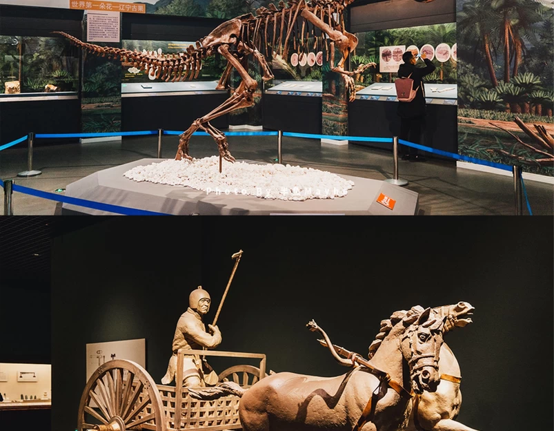 辽宁省博物馆 - 沈阳市旅游 1