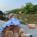 周溪村村民委员会 - 梅州旅游 缩略图 9