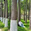 听涛景区 - 武汉市旅游 缩略图 1