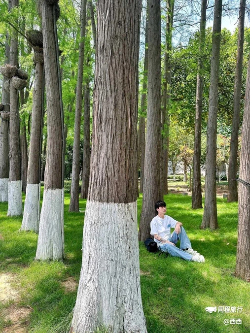 听涛景区 - 武汉市旅游