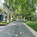 听涛景区 - 武汉市旅游 缩略图 7