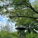 听涛景区 - 武汉市旅游 缩略图 8