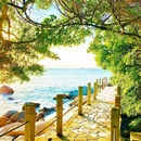 柚柑湾度假村 - 深圳市旅游 缩略图 3