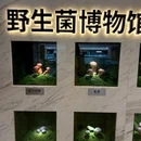 广州五月花商业广场 - 广州市旅游 缩略图 8