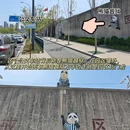 合柴·1972 - 合肥市旅游 缩略图 3