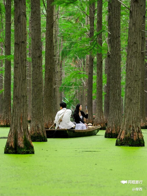 渌洋湖湿地公园 - 扬州市旅游