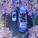 教场中路 - 昆明市旅游 缩略图 2
