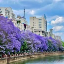 教场中路 - 昆明市旅游 缩略图 5