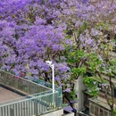 教场中路 - 昆明市旅游 缩略图 9