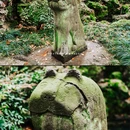 天一阁·月湖烟屿楼 - 宁波市旅游 缩略图 9