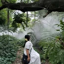 成都市植物园 - 成都市旅游 缩略图 1