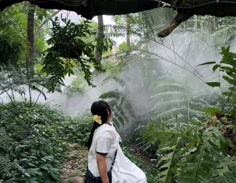 成都市植物园 - 成都市旅游 1