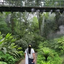 成都市植物园 - 成都市旅游 缩略图 5