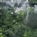 成都市植物园 - 成都市旅游 缩略图 8
