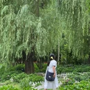 成都市植物园 - 成都市旅游 缩略图 7