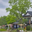 杭州长乔极地海洋公园 - 杭州市旅游 缩略图 7