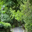 北溪湿地公园 - 成都市旅游 缩略图 7